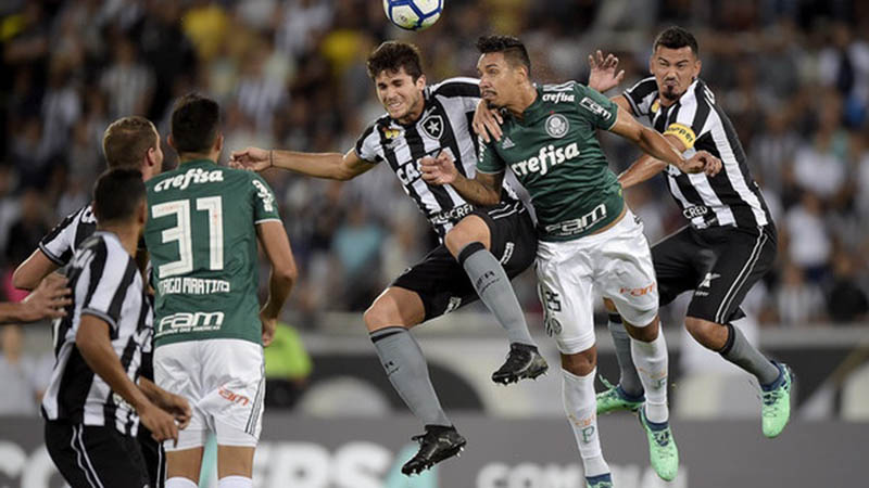 soi-keo-botafogo-vs-palmeiras