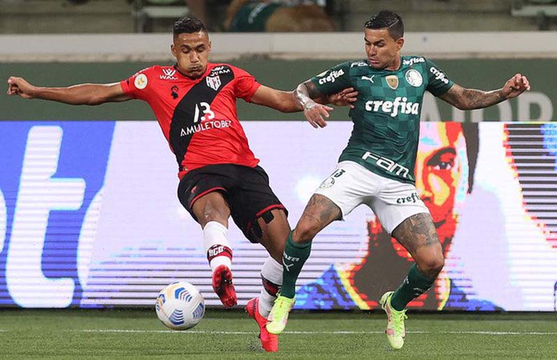 soi-keo-palmeiras-vs-goianiense