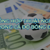 Giải thích các thuật ngữ cá cược bóng đá cơ bản