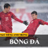 Thuật ngữ bóng đá tiếng Anh phổ biến nhất hiện nay