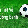 Kèo đồng banh là gì? Cách chơi kèo chấp đồng banh như thế nào?