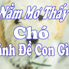 Nằm mơ thấy chó đánh con gì? Những điềm báo bạn cần biết