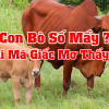 Nằm mơ thấy con bò đánh con gì? Giải mã điềm báo giấc mơ