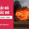 Nằm mơ thấy cháy nhà đánh con gì? Điềm báo giấc mơ cháy nhà