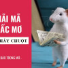 Nằm mơ thấy chuột đánh con gì? Ý nghĩa của giấc mơ thấy chuột