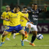 Kèo nhà cái, soi kèo Boca Juniors vs Deportivo Cali, lúc 07h00 ngày 27/05, Copa Libertadores