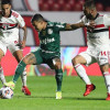 Kèo nhà cái, soi kèo Sao Paulo vs Palmeiras, 06h00 ngày 21/06, Serie A
