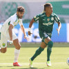 Kèo nhà cái, soi kèo Palmeiras vs Cuiaba, 06h00 ngày 19/07, Serie A