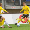 Kèo nhà cái, soi kèo KuPS vs Young Boys, 23h00 ngày 04/08, UEFA Europa Conference