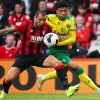 Kèo nhà cái, soi kèo Norwich vs Bournemouth, 01h45 ngày 24/08, EFL Cup