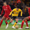 Kèo nhà cái, soi kèo Wolves vs Liverpool, 02h45 ngày 18/01, Cúp FA