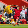 Kèo nhà cái, soi kèo Liverpool vs Wolves, 03h00 ngày 02/03, Ngoại Hạng Anh