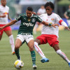 Kèo nhà cái, soi kèo Palmeiras vs Bragantino, 07h35 ngày 23/02, Paulista