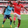 Kèo nhà cái, soi kèo Vizela vs Benfica, 03h45 ngày 09/02, Taca de Portugal