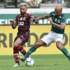 Kèo nhà cái, soi kèo Flamengo vs Palmeiras, 06h00 ngày 01/8, Copa do Brazil