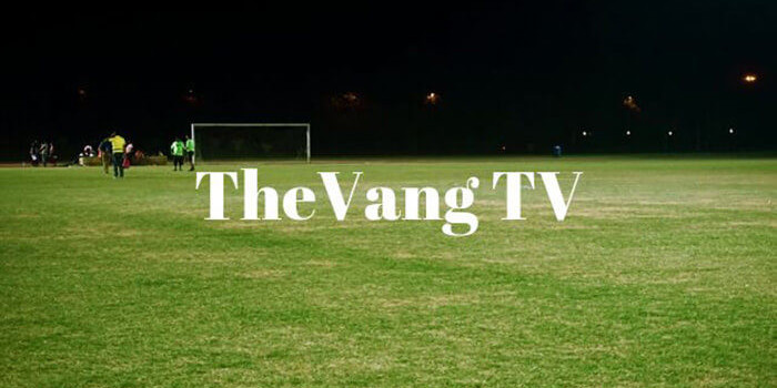 ThevangTV.com mang tới link xem bóng đá trực tuyến tốt nhất