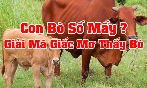 Nằm mơ thấy con bò đánh con gì? Giải mã điềm báo giấc mơ