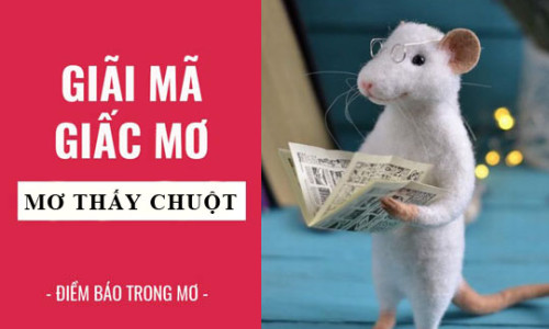 Nằm mơ thấy chuột đánh con gì? Ý nghĩa của giấc mơ thấy chuột