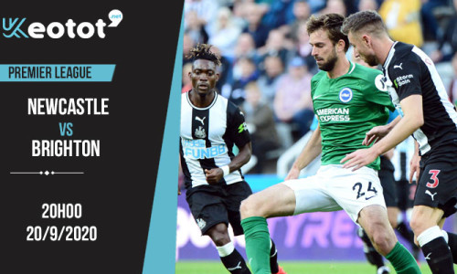Soi kèo Newcastle vs Brighton lúc 20h ngày 20/9/2020
