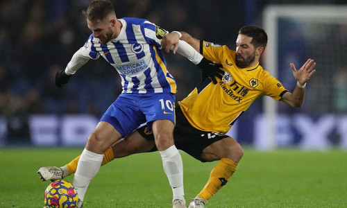 Kèo nhà cái, soi kèo Brighton vs Wolves, 02h45 ngày 23/01, Ngoại Hạng Anh